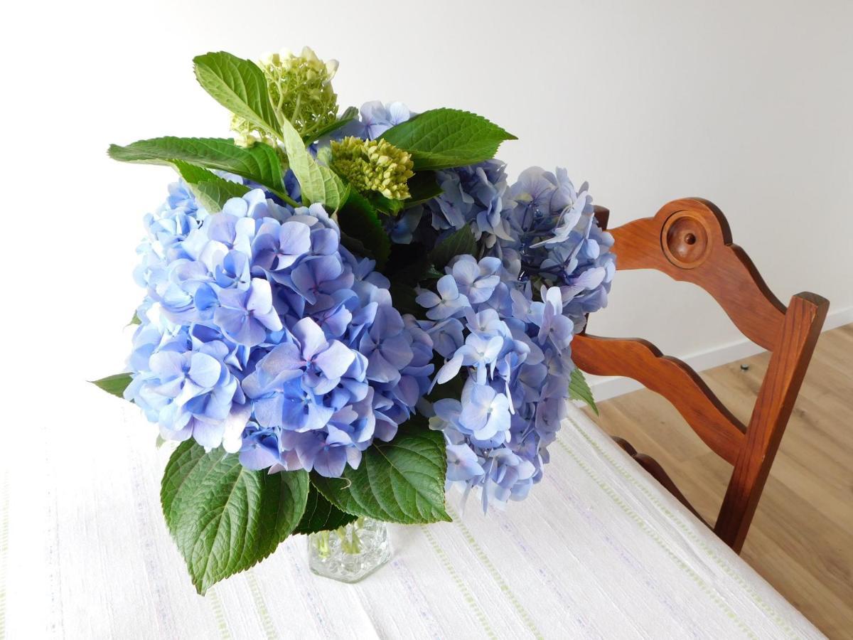Niaazoreanapartments2, Aconchegante E Confortavel! 오르타 외부 사진